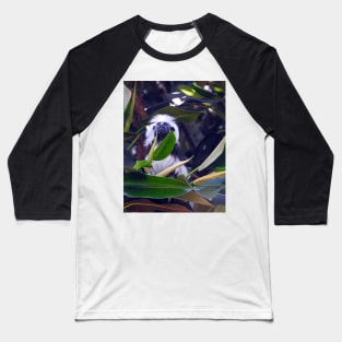 Cotton-top Tamarin Baseball T-Shirt